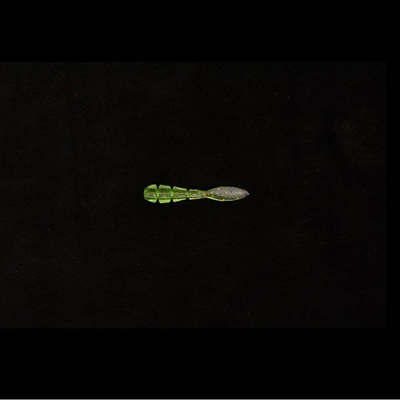 34 (Thirty Four) Turtle 1.6 Tree Frog