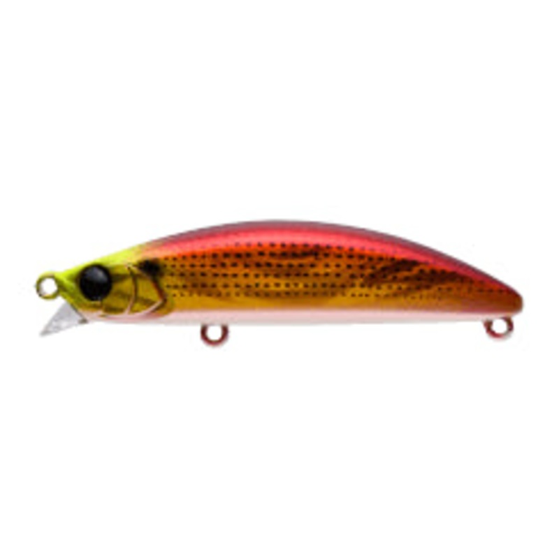APIA Dover 70F Shallow Runner #01 Red-spotted Conger