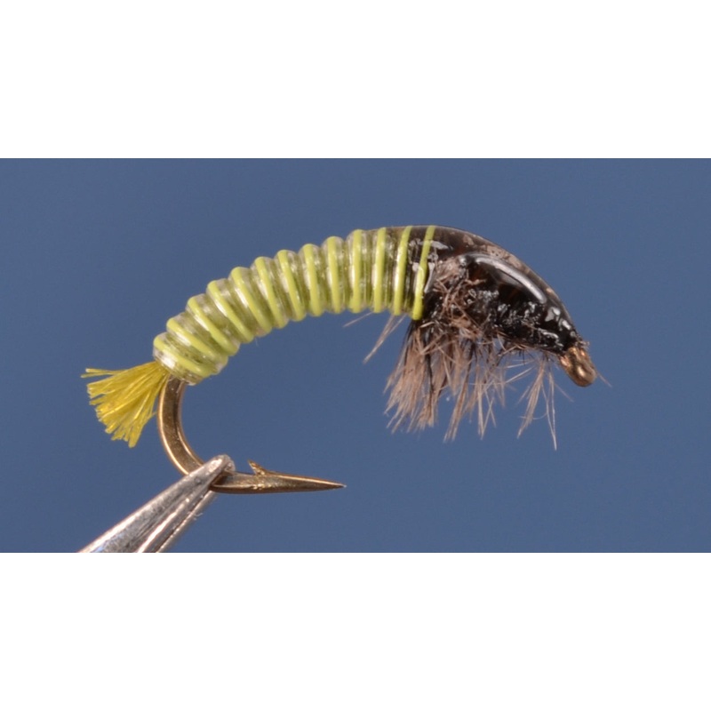 Electric Caddis - Golden Olive and Gray