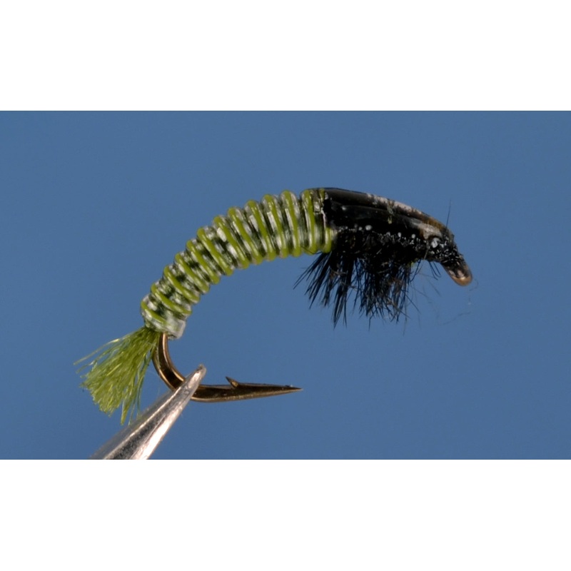 Electric Caddis - Olive and Black