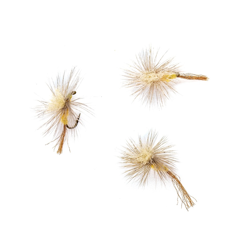 Dorothea Parachute Emerger