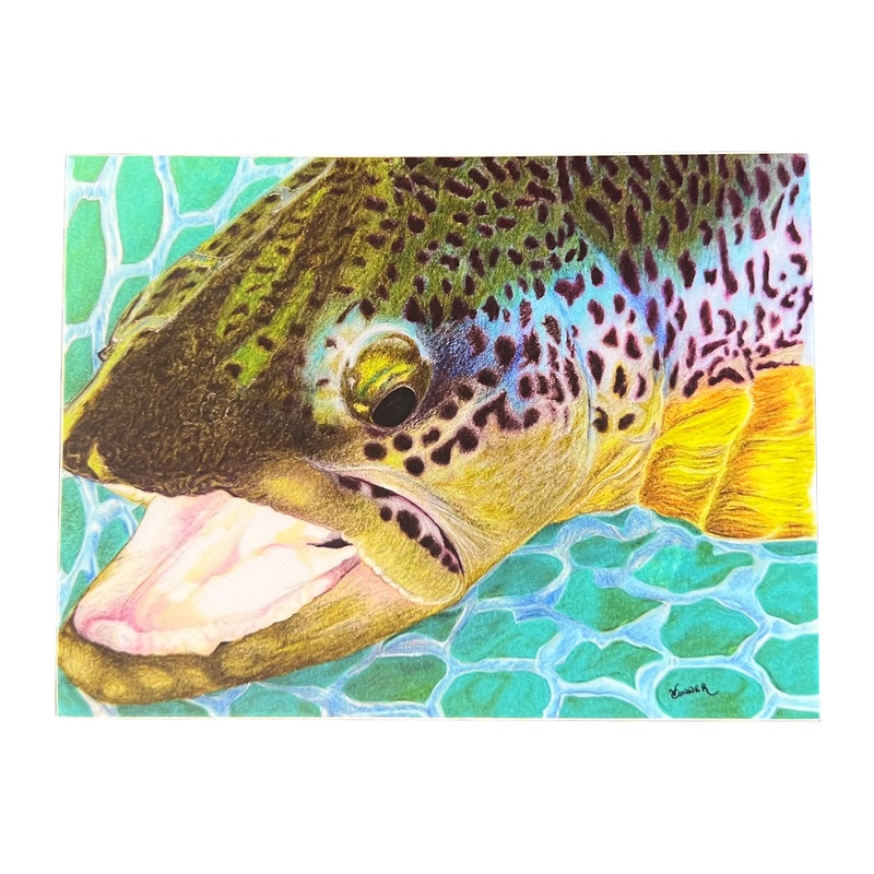 Conner Art Studio Brown Trout Sticker