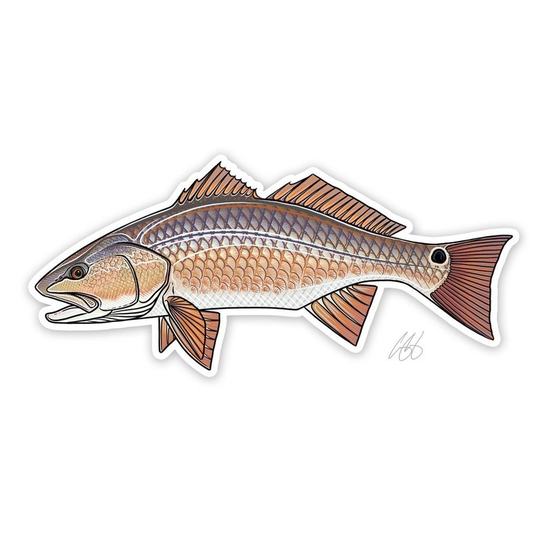 Redfish Sticker