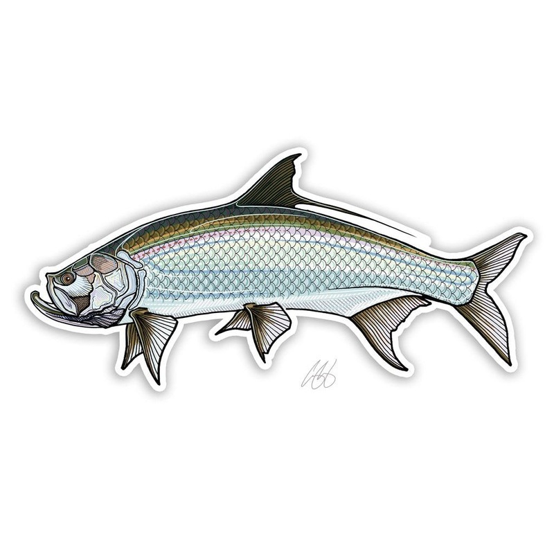 Tarpon Sticker